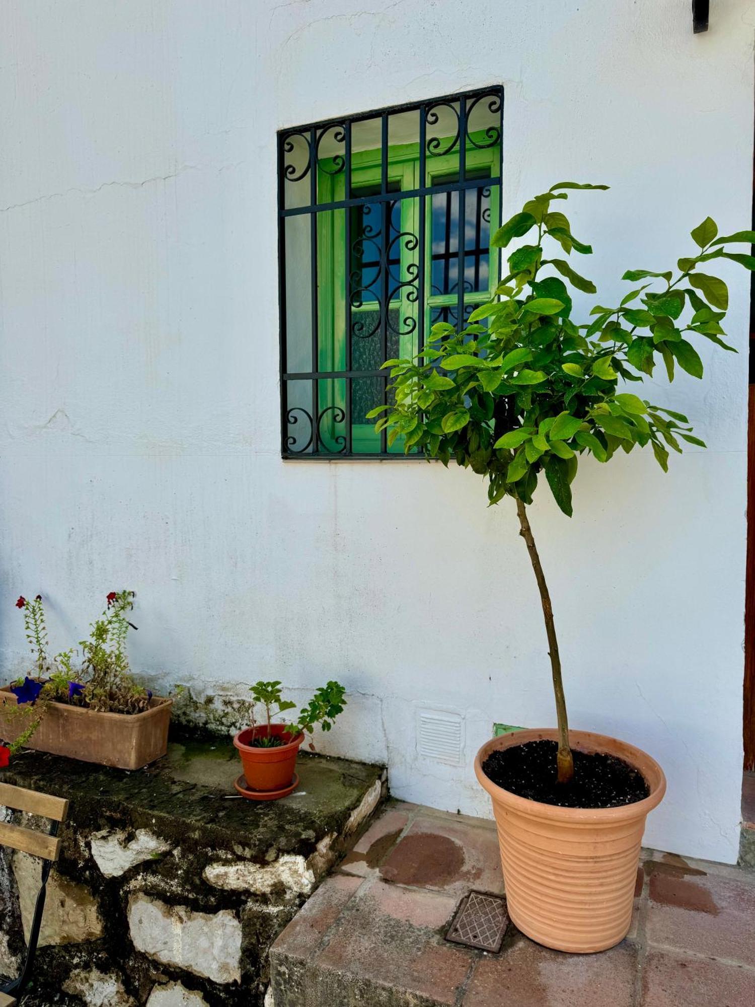 Casa Leon Villa Montejaque Buitenkant foto